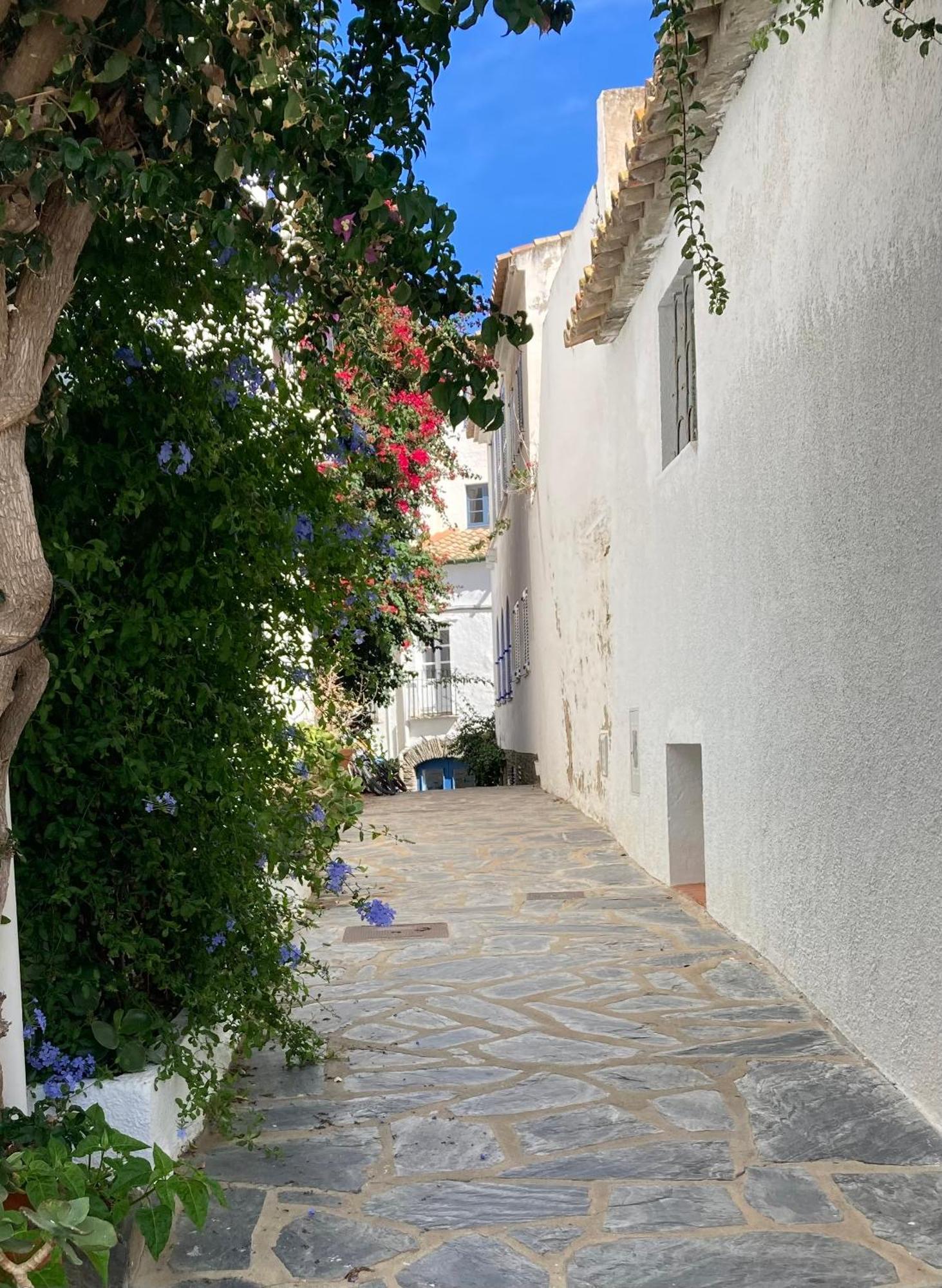 Apartamento Palau Cadaques Exterior photo